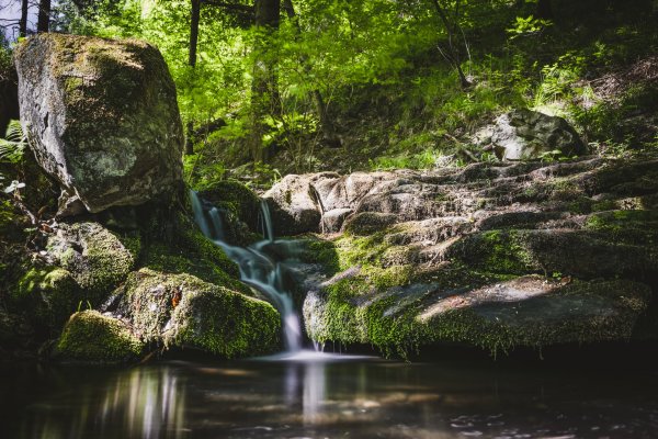 IMPERIA:image_alt_1_0